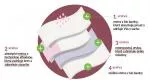 Organyc Menstruační kalhotky z bio bavlny - ultraabsorpční  XL